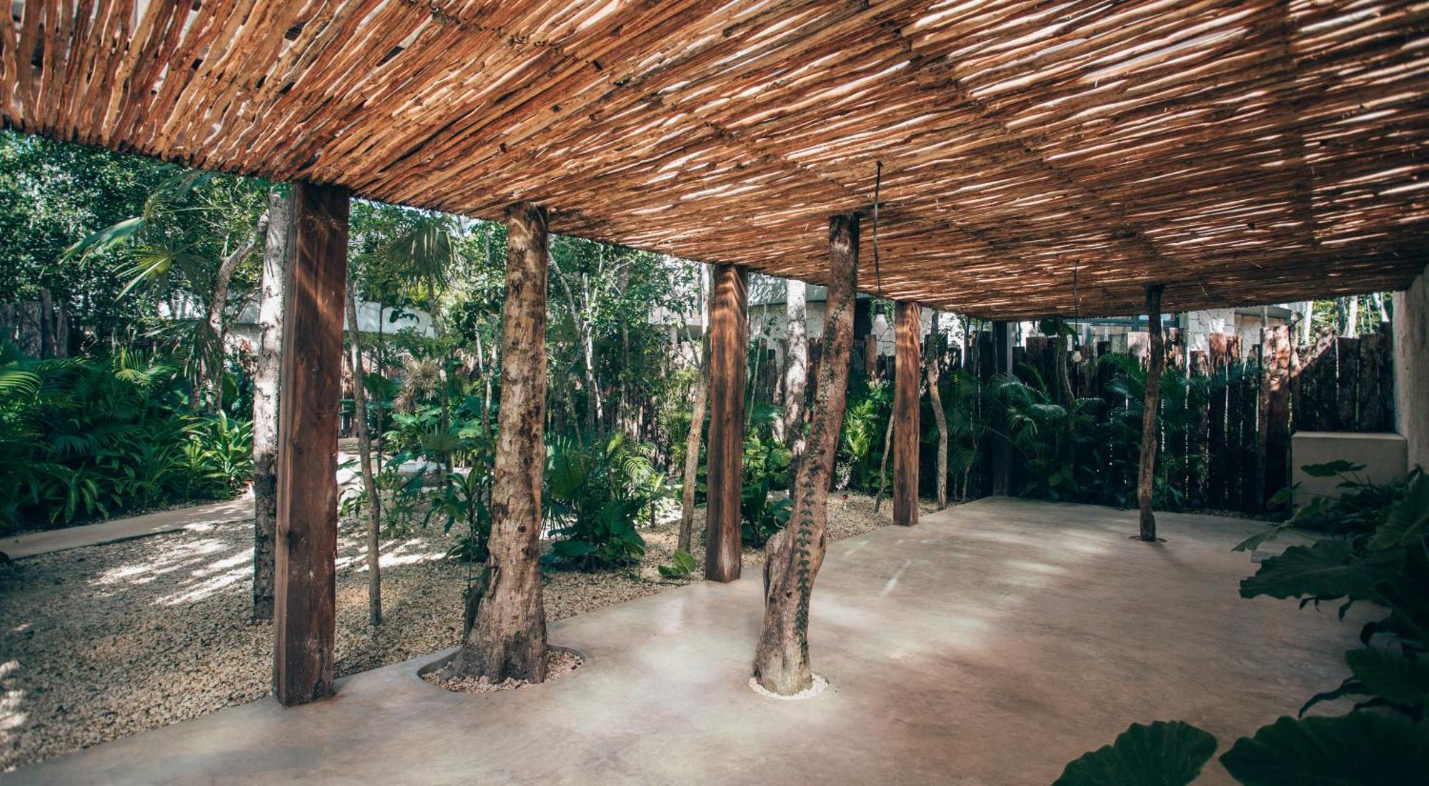 Tulum Jungle Luxury Villa -Pvt Pool - Concierge 6A Exteriér fotografie